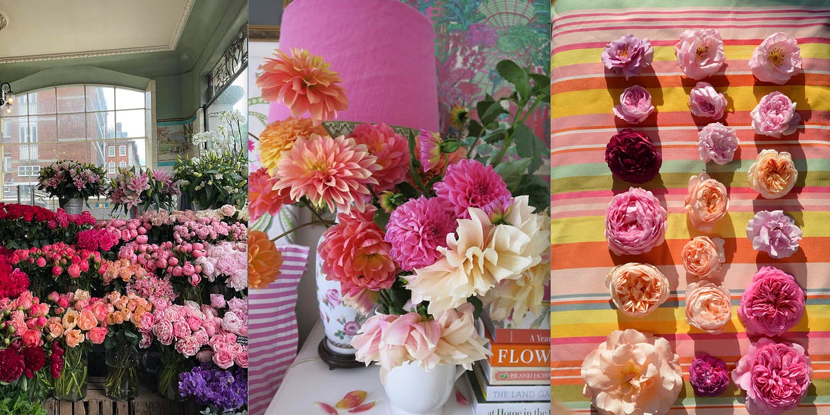 The Importance of Seeking Beauty in a Dark, Disappointing World