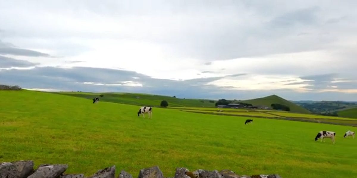 There are several papers condemning processed meats for increasing the