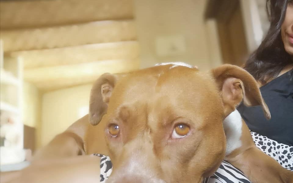 Dear Universe, take me back to what matters