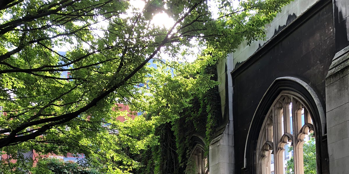 Walking to spot the old among the new