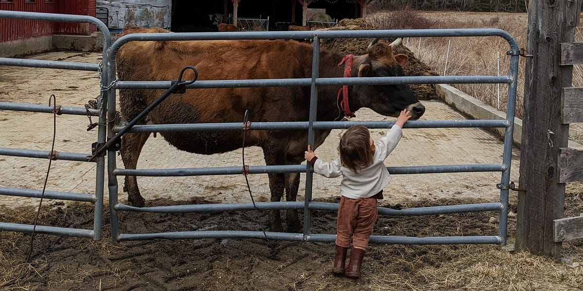 Thumbnail of Dispatches from childhood