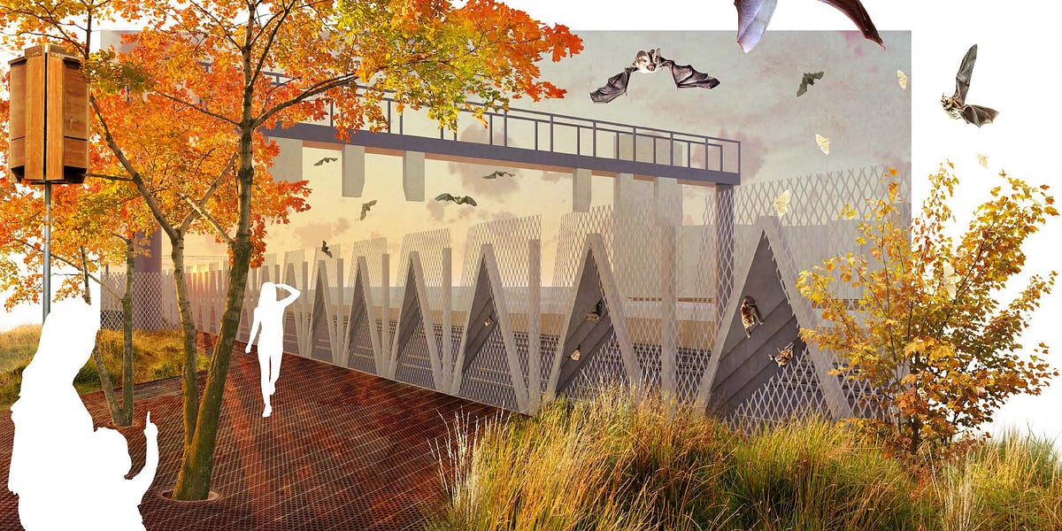 The Highline Project: The Wilds. thumbnail