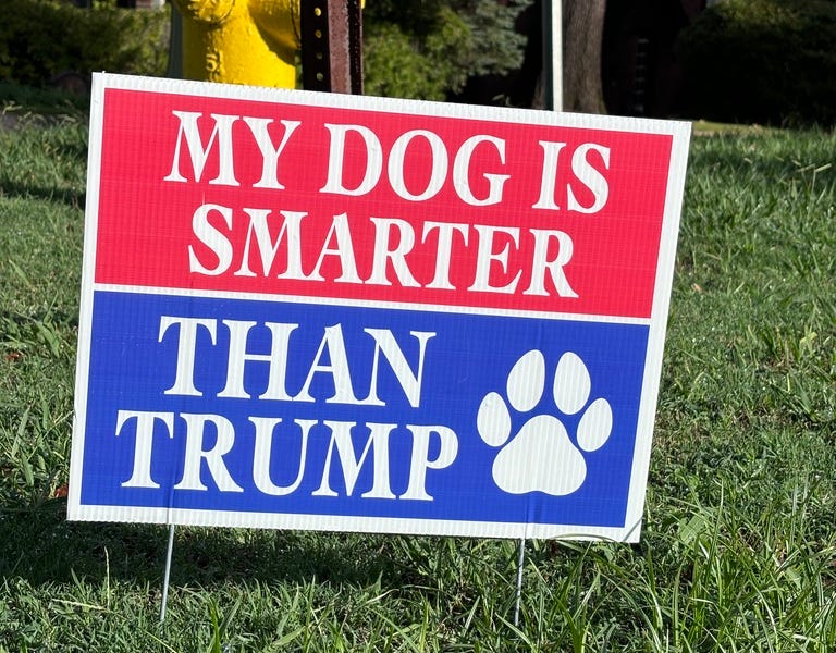 Comments Disturbing News From