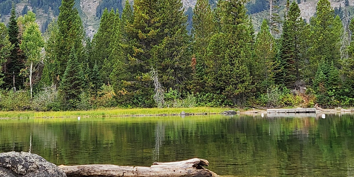 Reconnecting, Re-Centering, Renewing