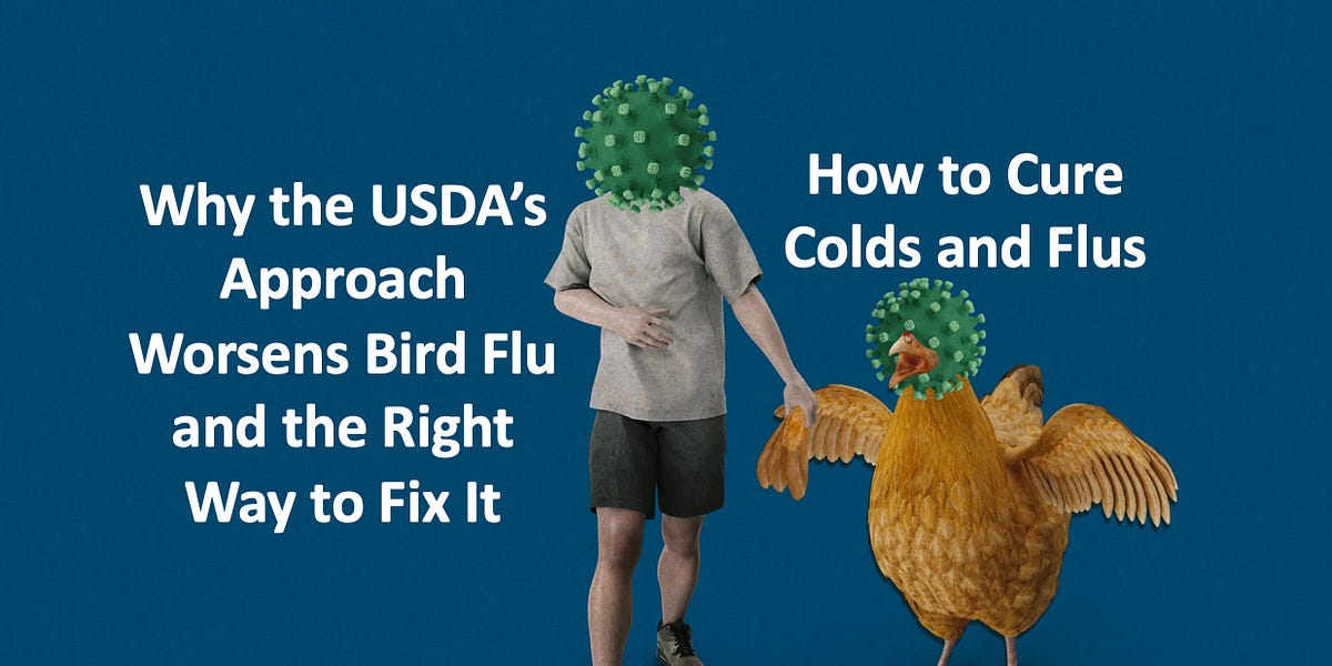 Unmasking the Great Avian Influenza Scam
