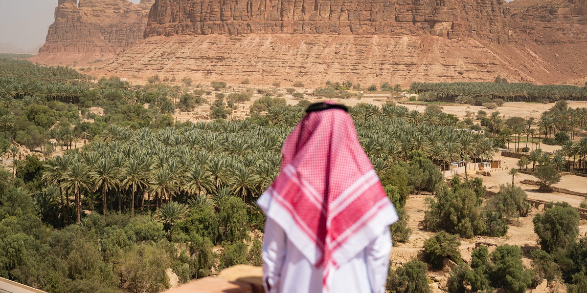 The Saudi mining gambit: from Oil Kingdom to Mineral Might?
