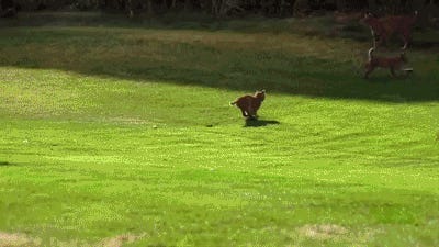 You Wouldn’t Like JD Vance When He’s Angry. Or Any Other Time. Tabs, Thurs., Aug. 29, 2024