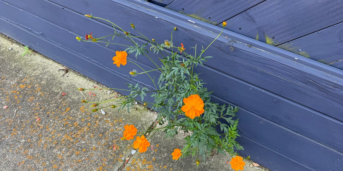 The Lie of Productivity by Hunter Wade Necessary Detail