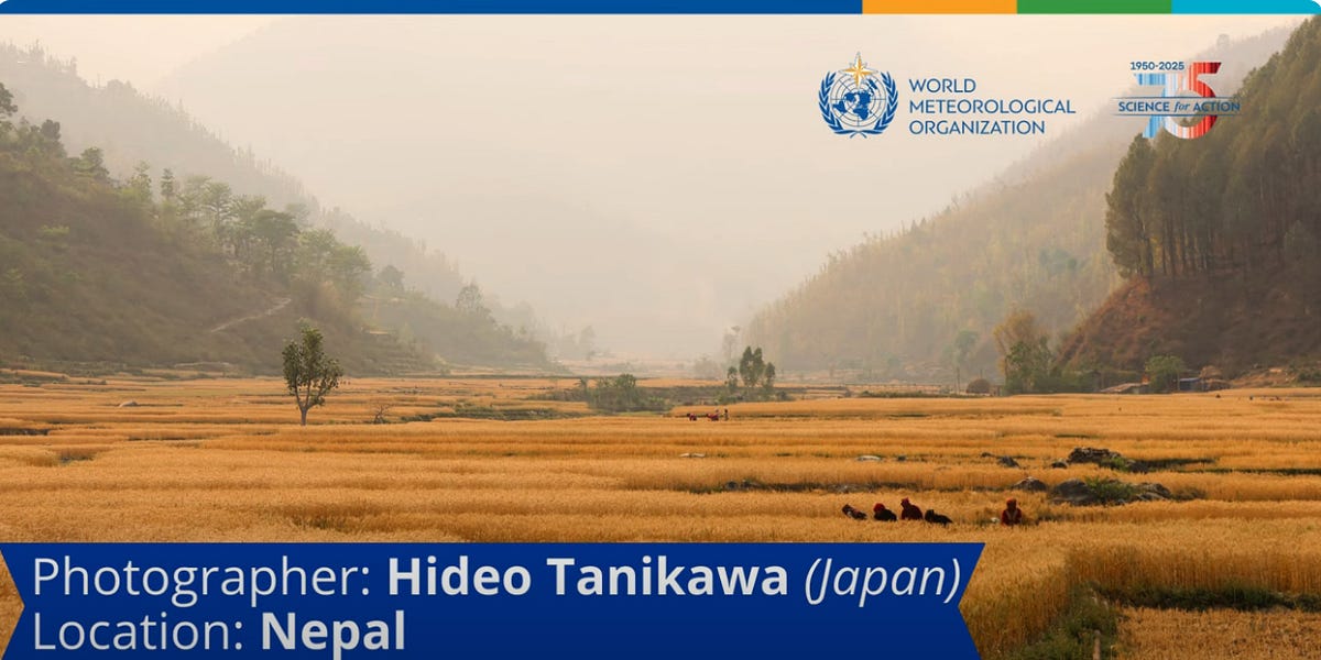 ⭐️004 Result of WMO Calendar 2025 by Hideo Tanikawa