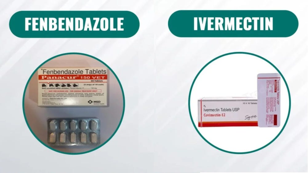 Ivermectin and fenbendazole testimonial stage 4 prostate cancer
