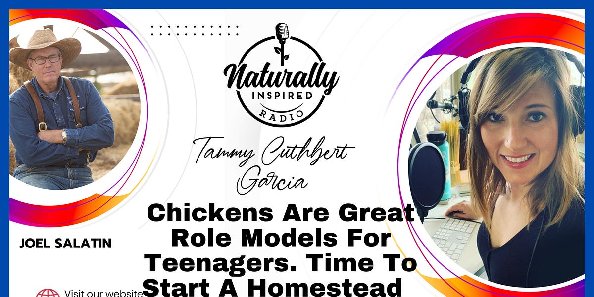 Joel Salatin - Chickens 🐓 Are Great Role Models For Teenagers🧑‍🏫 . Time To Start A Homestead 👨‍🌾