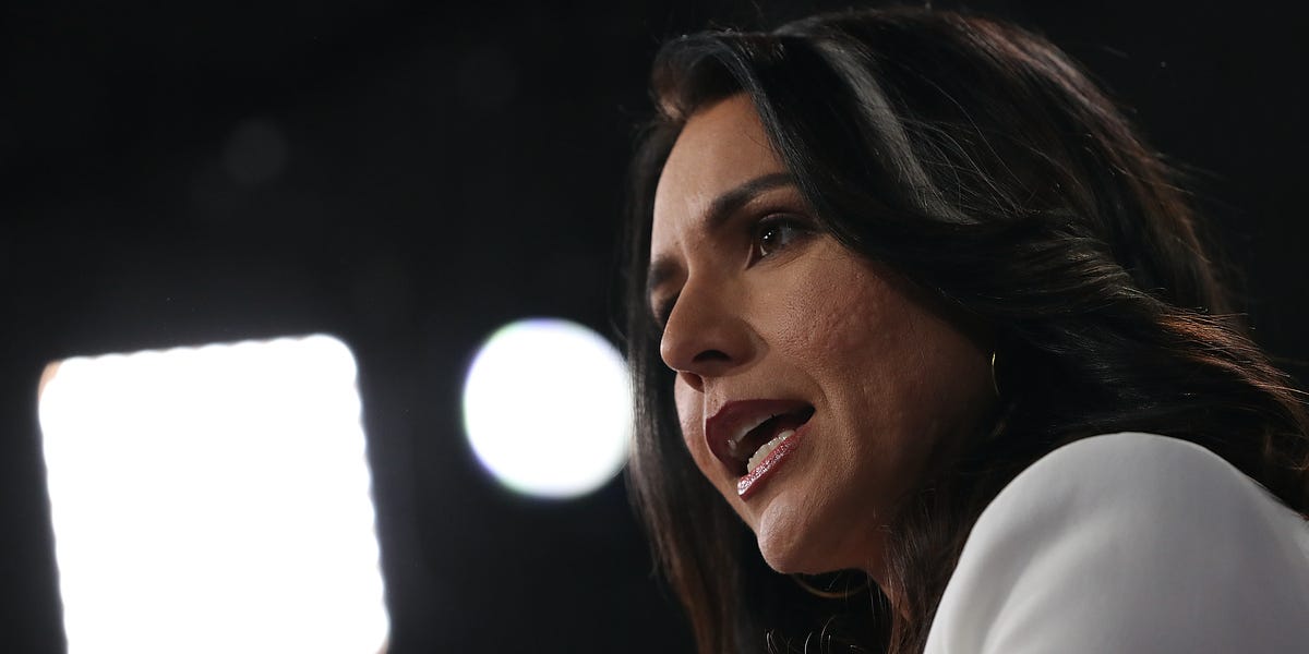 Intimidation and Waste: Surveillance of Tulsi Gabbard Triggered by Unspecified "Affiliation"