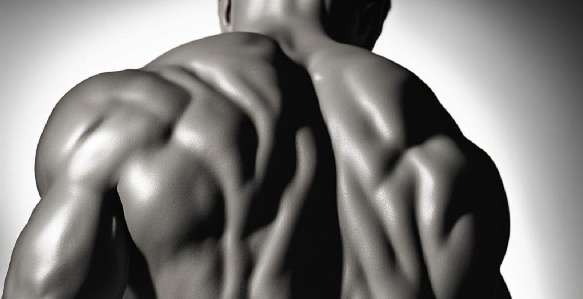 Unleash the Power of Your Lower Back: The Quadratus Lumborum Revealed