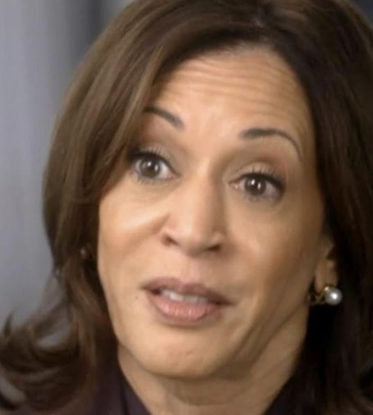 jameshowardkunstler.substack.com