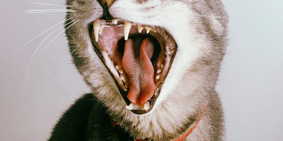 Oh My God I’m Freaking Out About All This