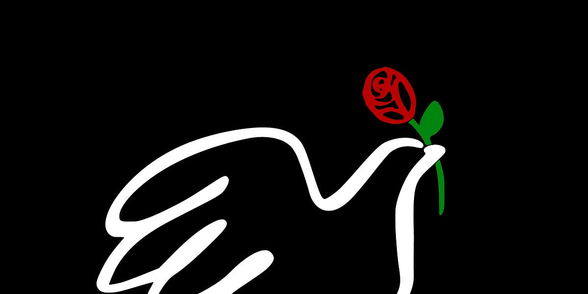 Addressing the NYCDSA Convention by Waleed Shahid