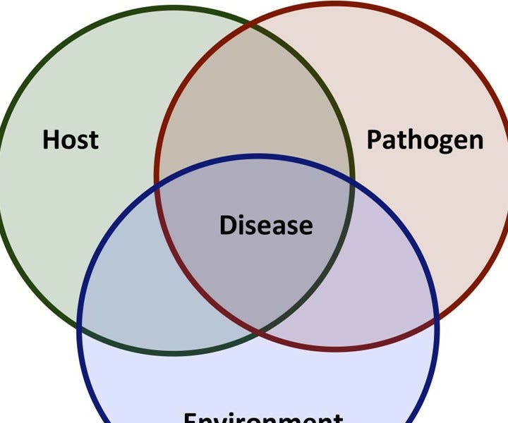 News Release Layer Flock Hit by H5N1 in Weld County CO