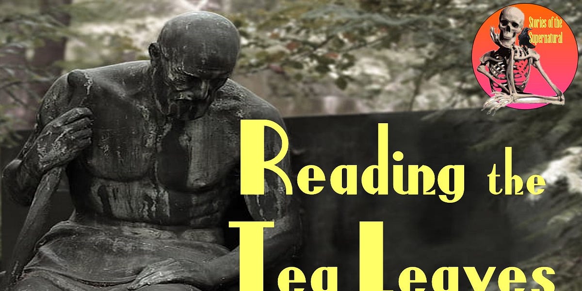 Reading the Tea Leaves | Interview with Robert Lindsy Milne | Podcast