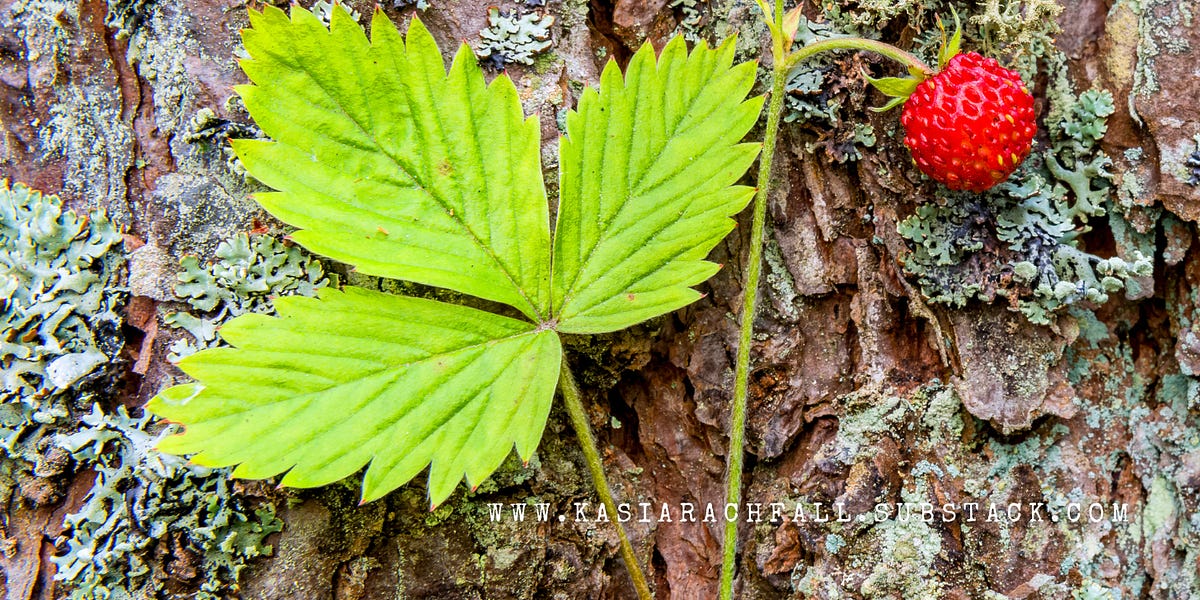 Raw Writing Sunday 5 by Kasia Rachfall