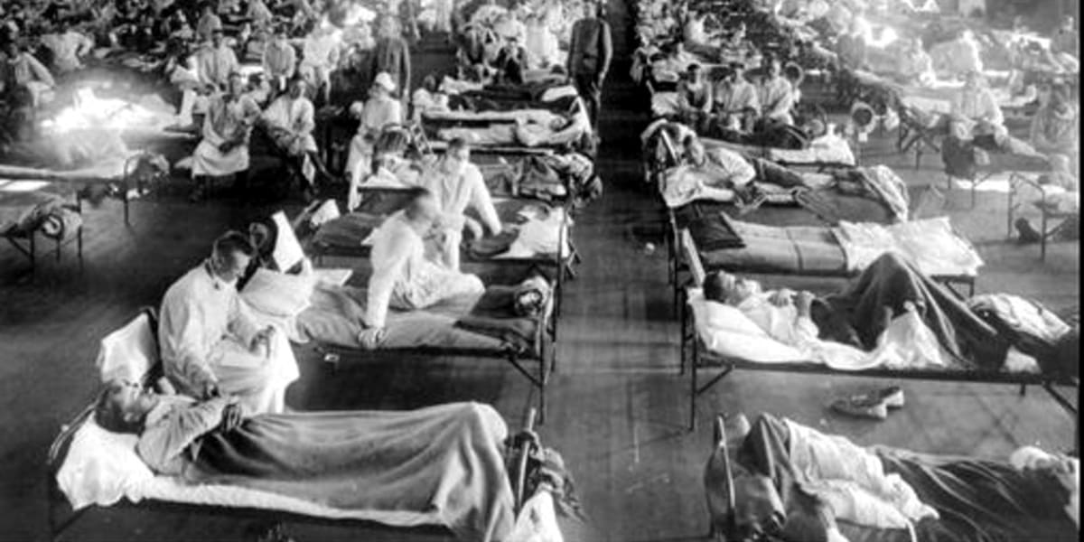 The True Origin of the Spanish Influenza