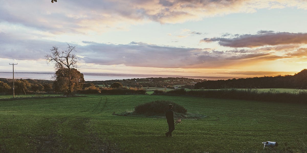 Poetry is Bloody Good For You The Orange Verse