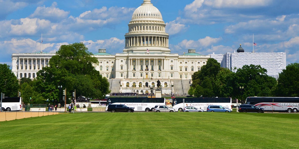 Scenes from a D.C. summer