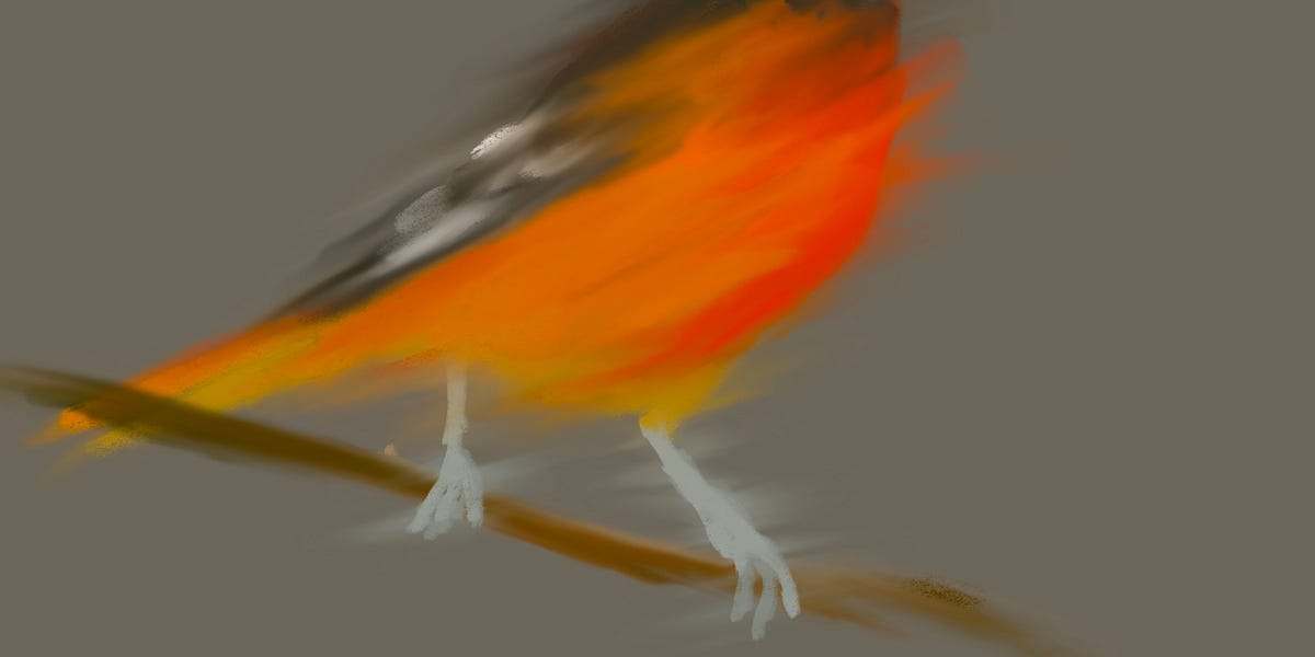 Half a Bird - Megan Bee’s Substack