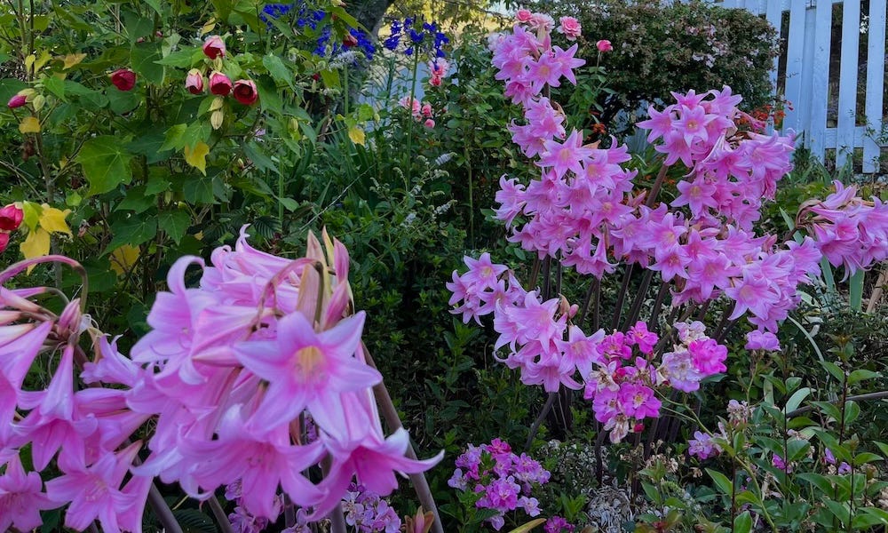 Naturally Naked by Cynthia Brian