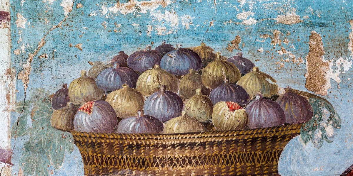 Figs, Trees, Folklore and Recipes