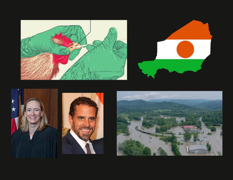 Stories We're Following - 30 July 2023