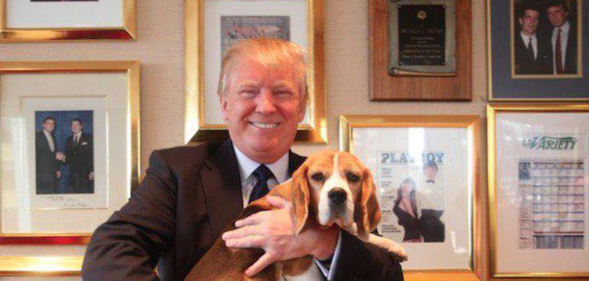 Trump Just Eliminated Inhumane Beagle Torture Facilities
