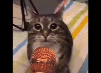 Wonkette’s News Of Today Checked ALLLLL Your Facts! Wonkette’s News Of Today Checked ALLLLL Your Facts!