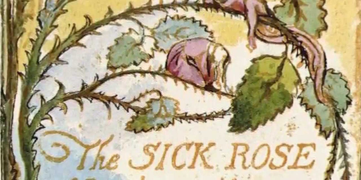 What Does "The Sick Rose" Mean? by Christopher Sandbatch