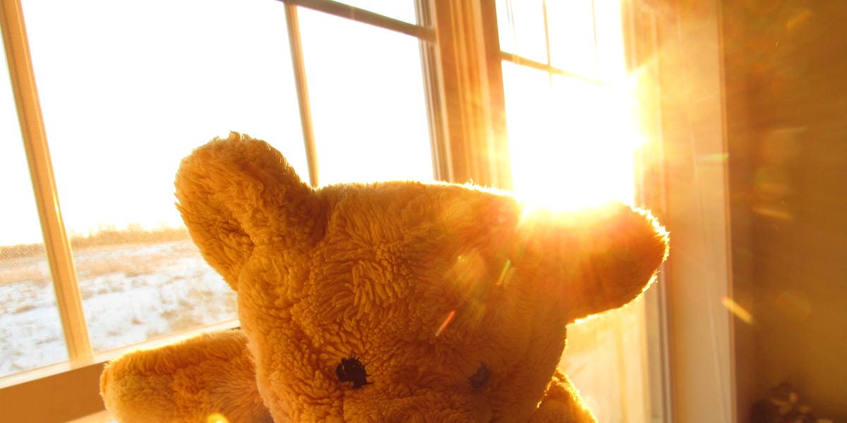 I choose the Teddy bear. by Cassandra