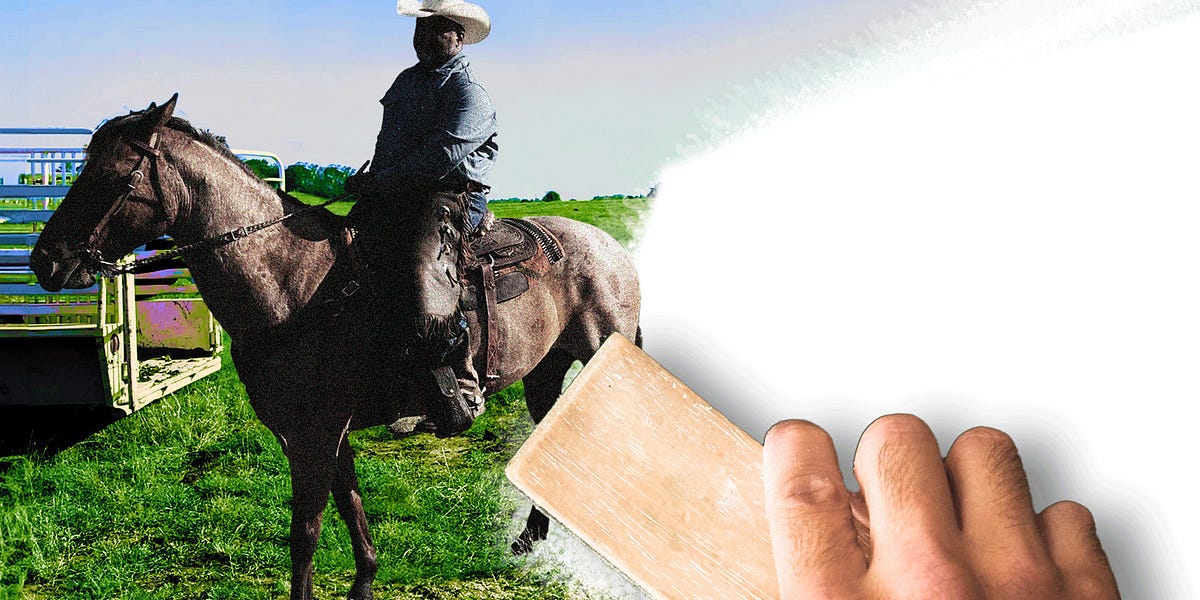 America's Black farmers and cattle ranchers are in crisis - Vimarsana News