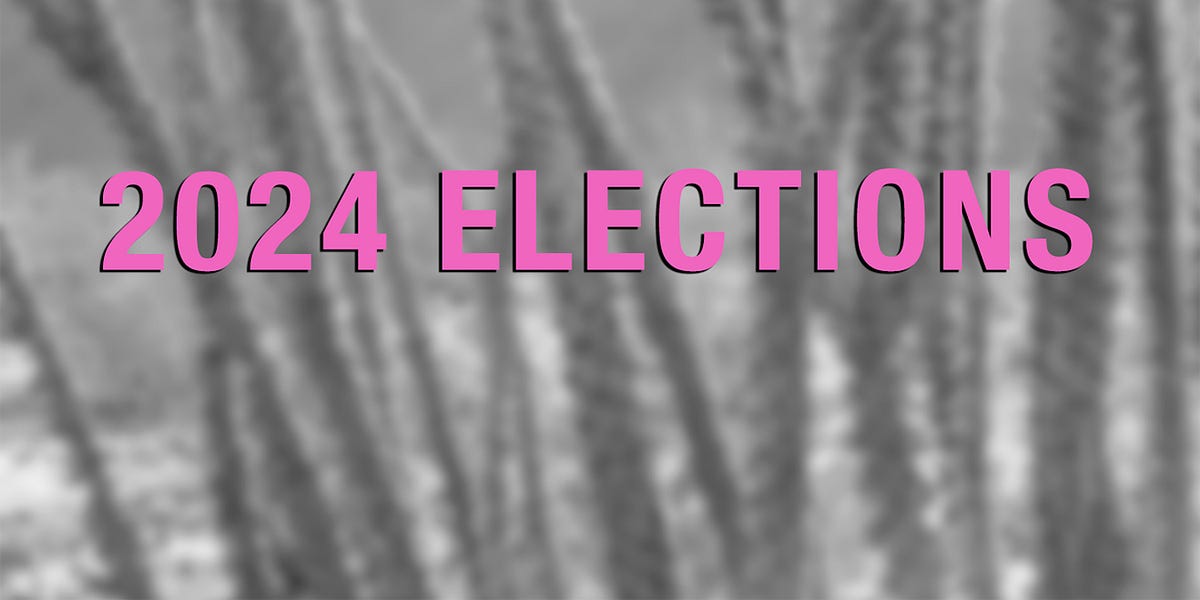 Local Election Results 2024 by Natalie Zuk