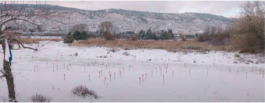 Why was a century-old septic field installed to dispose of the Kamloops Indian Residential School's sewage mistaken for 'the remains of 215 children'?