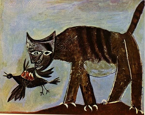 The Bird, The Cat And The Cow Dung
