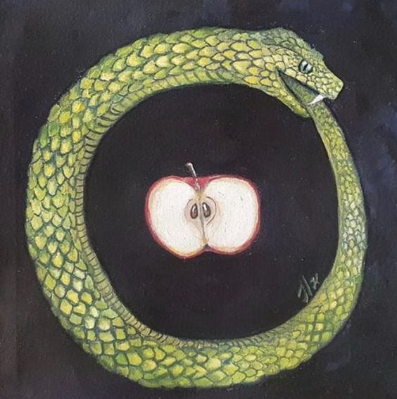 a journal entry, if you will by Hannah Day