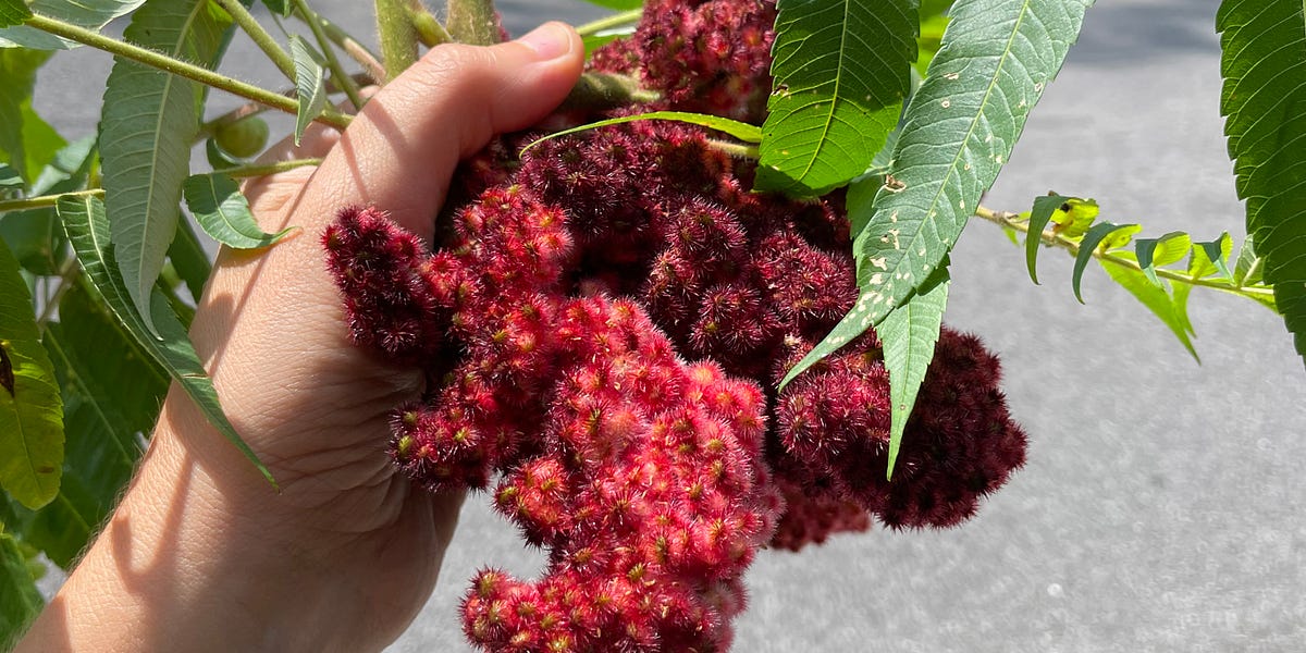 September Full Moon Sumac Chicken (Musakhan)