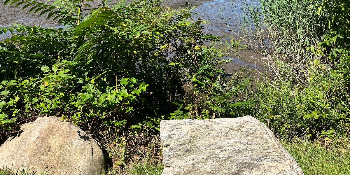 Cold Spring, New York Sydney on the Road