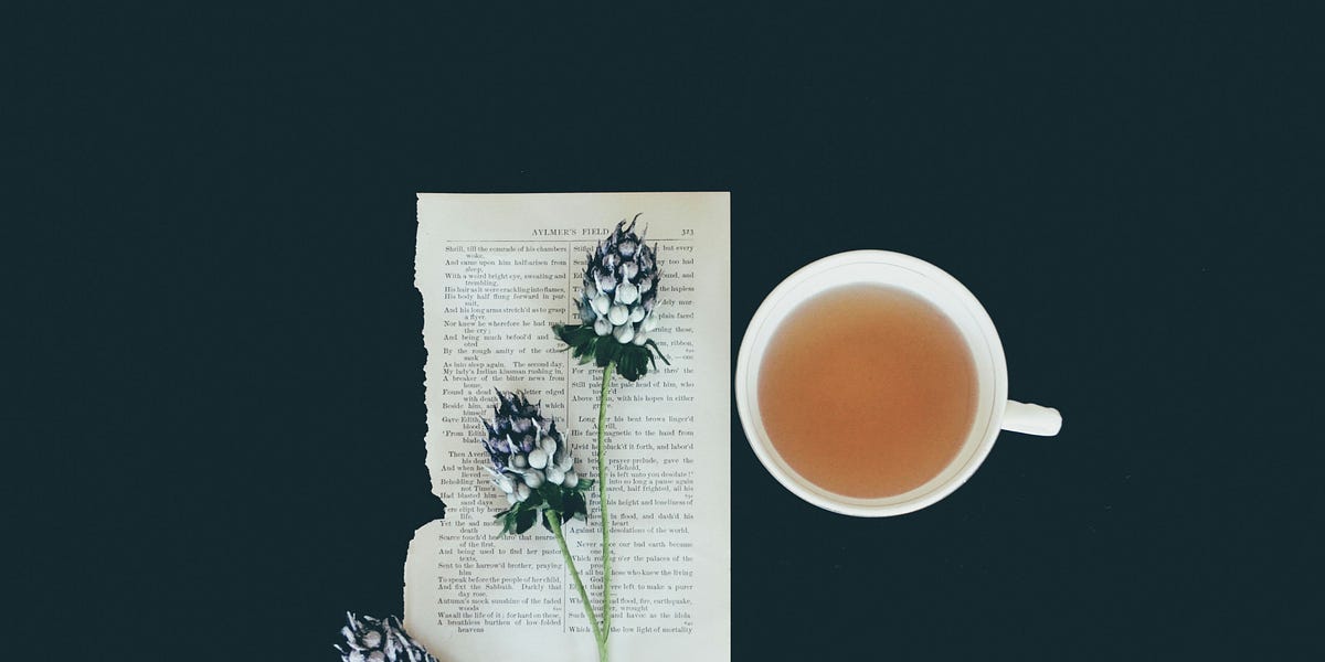 living tea directory by Tanzeela yarns of youth