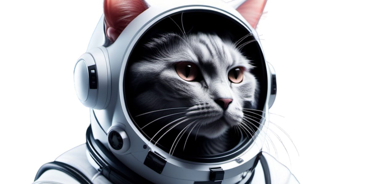 SpaceX Drops A Load on Saskatchewan