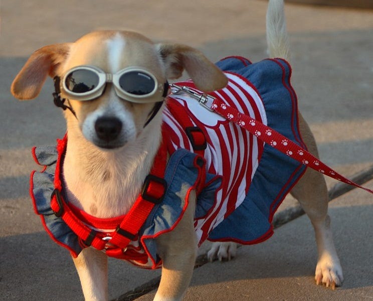 The Stupidest Memorial Day Ad I Ever Saw