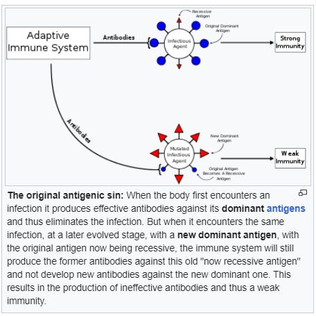 So the vaccines did damage immune systems...