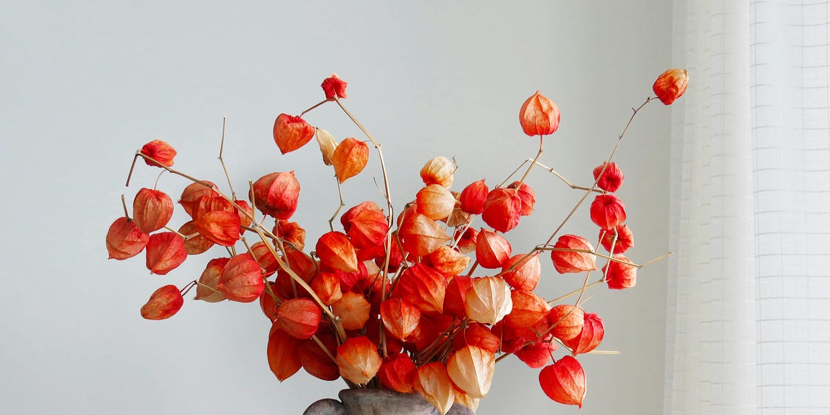 Silicon Florist 🌹 Entrepreneurial MBA, Show Her the Money 💰