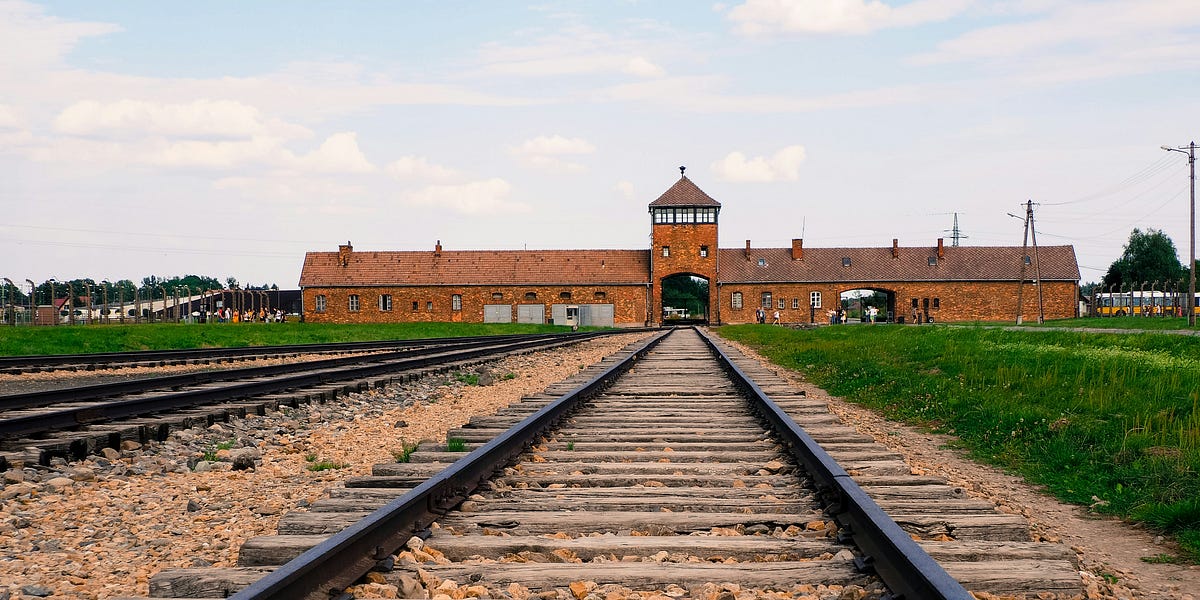 The Night Flower Sarah Warden