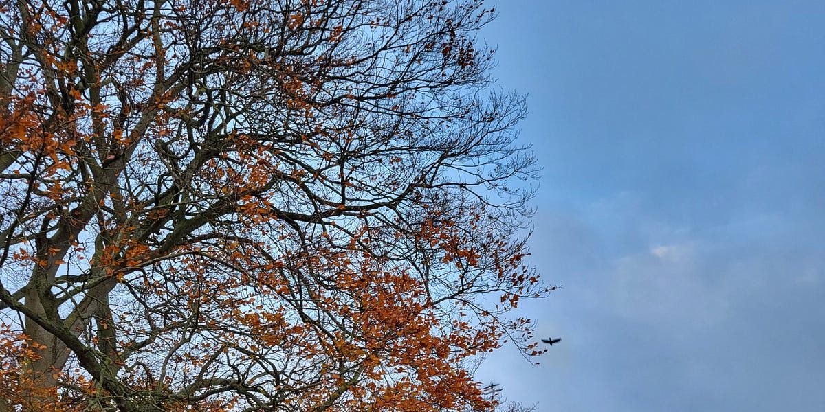 How to bear the weight of the world by Jen Swan