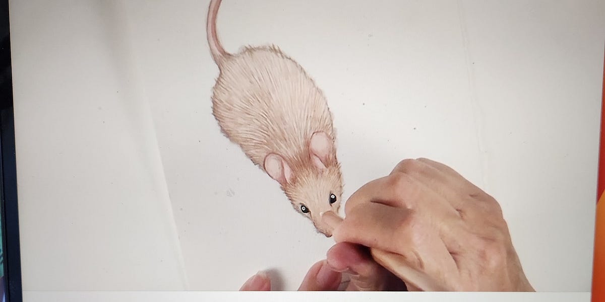 Watercolor Pencil Tutorial Squeak By Val Webb