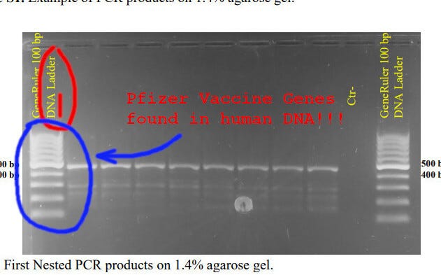 COVID Vaccines Integrate Into Human DNA, Study Finds
